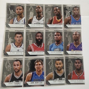 nba球星卡2014-15 帕尼尼 中亚图 picture perfect 特卡全套25张