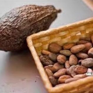 天然生可可豆原豆即食coco无蔗糖