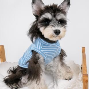 保暖德绒条纹百搭打底衫宠物狗狗衣服秋冬自发热泰迪比熊雪纳瑞