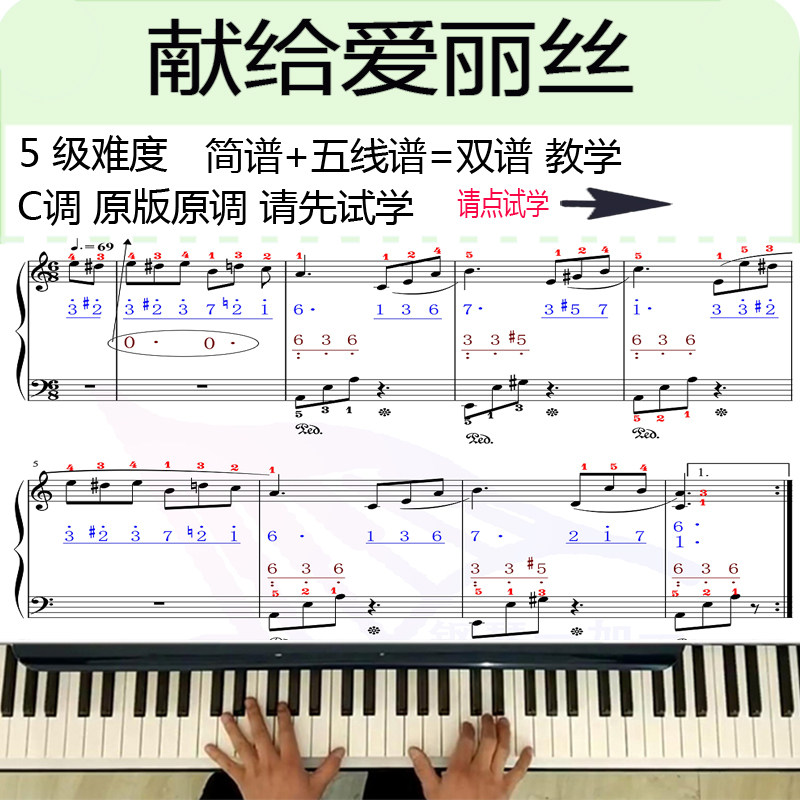 献给爱丽丝钢琴视频教学教程成人自学带简谱五线谱双谱钢琴一加一