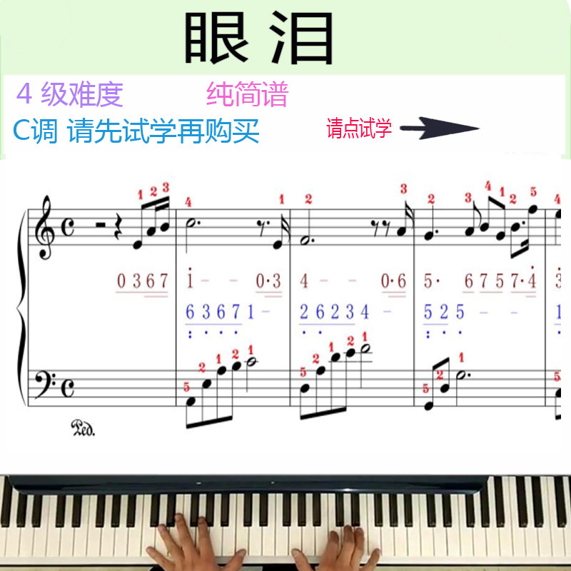 眼泪tears钢琴曲视频教程教学名曲成人自学简谱五线谱c调一加一