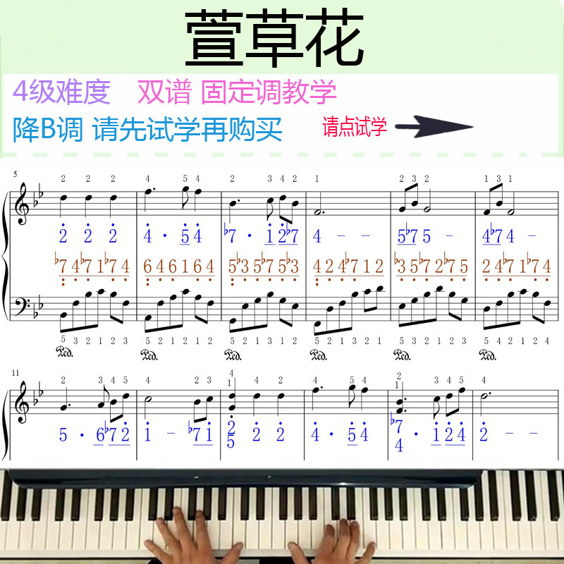 萱草花钢琴教学讲解演奏视频教程在线课程简谱五线谱双谱降b调