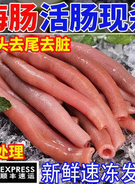 新鲜海肠鲜活海肠子急冻海肠皮烟台沙虫海鲜水产三去免处理200克