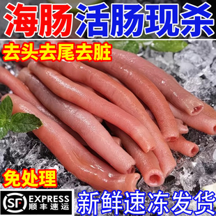 新鲜海肠鲜活海肠子急冻海肠皮烟台沙虫海鲜水产三去免处理200克