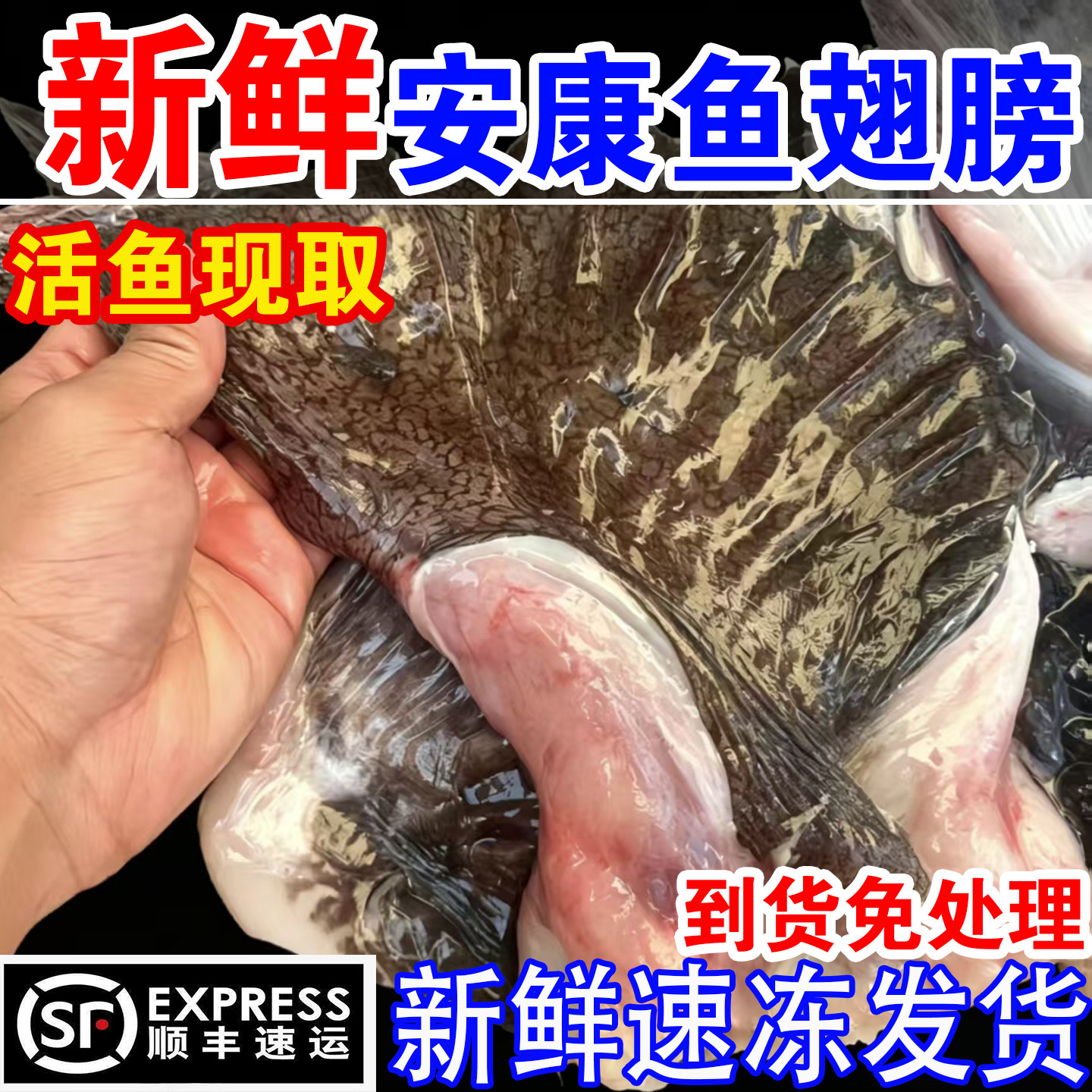 安康鱼安康鱼翅膀新鲜鱼鳍巴沙鱼鳍翅鱼肚鱼尾深海鱼海鲜水产