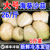 新鲜沙蒜海葵野生海捕鲜活冷冻5斤海肠海菊花根沙蒜豆面食材商用