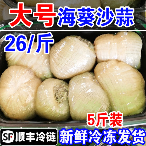 新鲜沙蒜海葵野生海捕鲜活冷冻