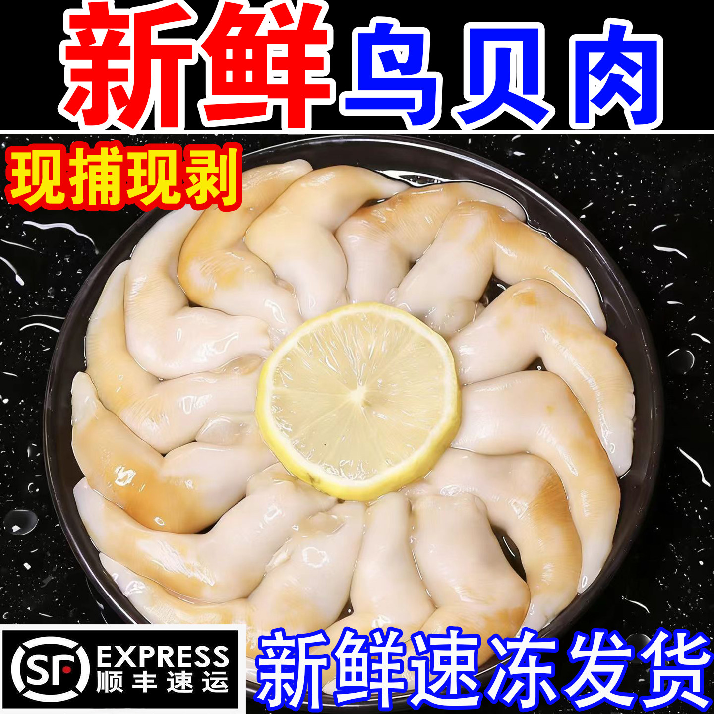新鲜冷冻特大号去内脏无沙长岛白鸟贝肉批发商用火锅海鲜食材捞汁图片