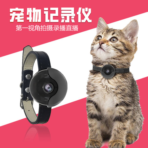 宠物猫咪狗狗视角挂脖摄像头录像