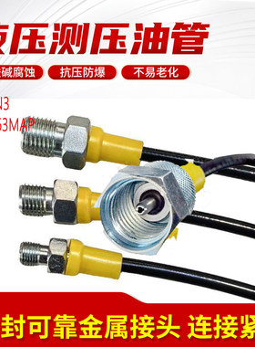 63MPa液压测压软管总成