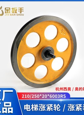 杭州西奥/奥的斯电梯涨紧轮210/250*20*6003RS三菱涨紧装置限速器