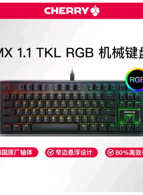 Cherry 樱桃MX1.1有线机械键盘黑曜雪原极光RGB电竞游戏87键红轴