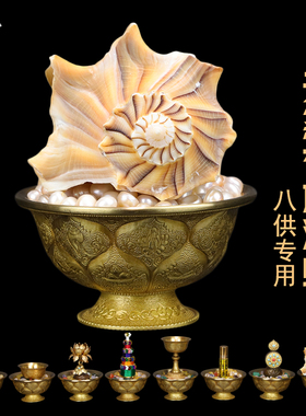精选八供用天然右旋小海螺摆件释家吉祥表法妙音乐左旋白海螺包邮