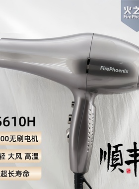 火之凤电吹风机发型师专业高温大风超轻静音大功率发廊风筒5610H