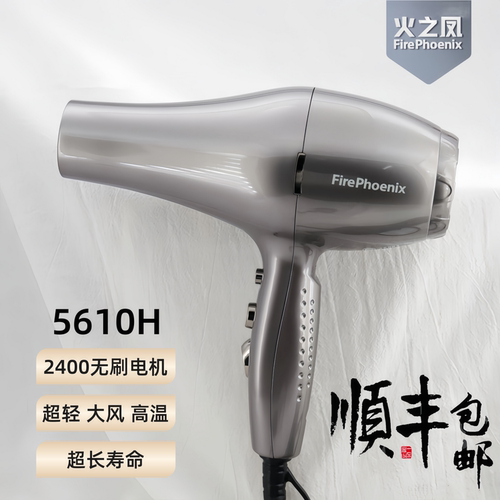火之凤电吹风机发型师5610h静音