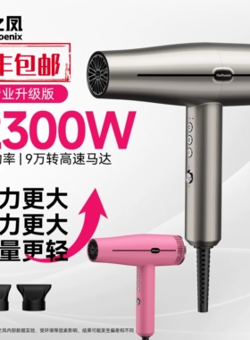 火之凤新款高速电机吹风机发廊用