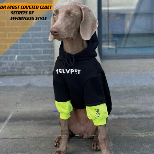 Собака для любимой собаки большая одежда для собак сражается цвет и фальшивый двух весенний и осенний ватный ватный свитер лабрадо золотой ретривер