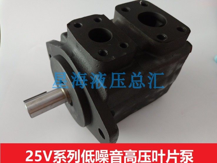 25V-21A注塑机VKS油泵