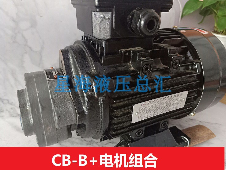 锯床电机组CB-B齿轮泵