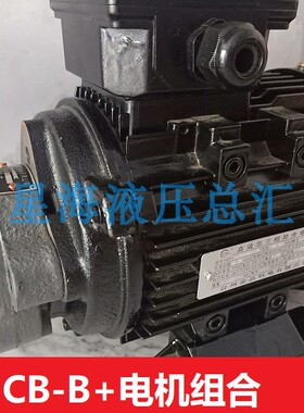 0.37KW锯床电机泵组  0.55KWCB-B6/润滑CBW/B4/B2.5齿轮JZ