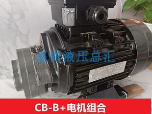 0.37KW锯床电机泵组  0.55KWCB-B6/润滑CBW/B4/B2.5齿轮JZ