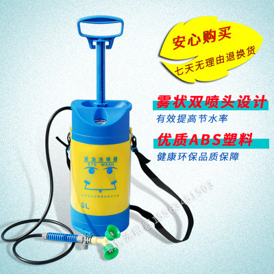 洗眼器 验厂5L便携式洗眼器移动式洗眼器洗眼器 紧急双3L8L5  口