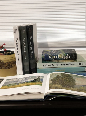 样板房 售楼处  Van Gogh油画 美术艺术桌面摆件可翻阅真书