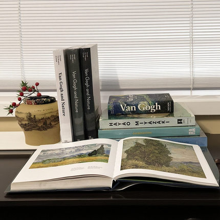 样板房 售楼处  Van Gogh油画 美术艺术桌面摆件可翻阅真书