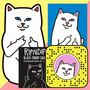 特57/中指猫另类手帐贴纸贴画日韩文具ins行李贴冰箱磁贴手机防水