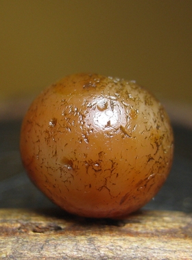 千年满风化老玛瑙珠12×10.5mm