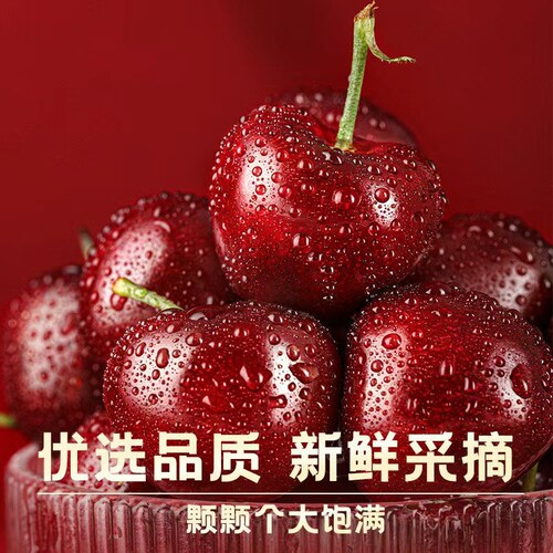 旅顺美早大樱桃4J特大，辽宁省内拍，现摘现发，顺丰包邮到家