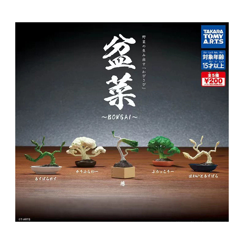 Tomy多美日本正版散货扭蛋 盆菜盆栽盆景菜花 微缩场景道具娃娃屋