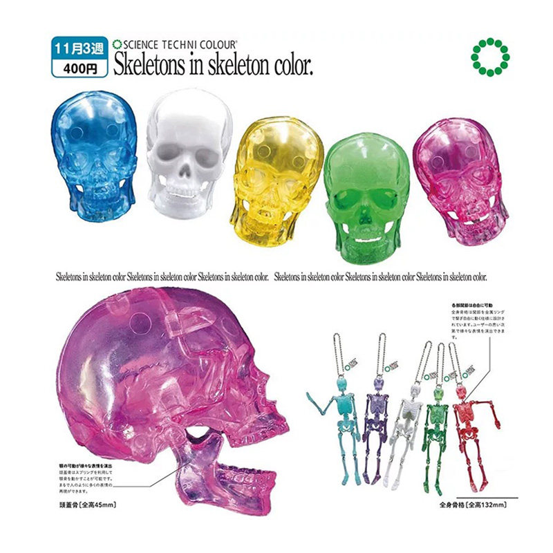 IKIMON奇谭日本正版散货 彩色透明骷髅&人体骨骼挂件扭蛋吊饰