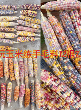 天然彩色宝石血丝玉米手把件文玩玉米摆件小挂饰盘珠包浆玉化礼物