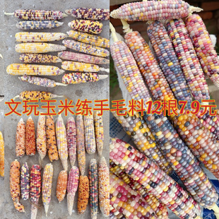 天然彩色宝石血丝玉米手把件文玩玉米摆件小挂饰盘珠包浆玉化礼物