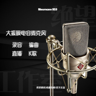 NEUMANN 103诺音曼电容麦克风专业录音直播话筒主播唱歌设备 TLM