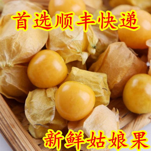 顺丰东北新鲜菇娘果包邮东北产特产现摘甜黄姑娘果大小果产地直销