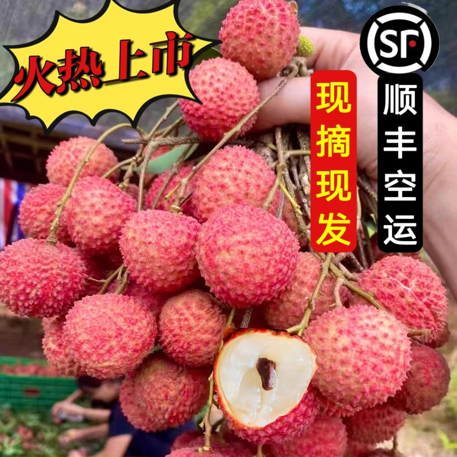 广东从化桂味荔枝当季水果核小肉厚超甜果园直销新鲜现摘整箱包邮