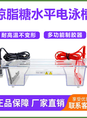 通用六一DYCP-31DN琼脂糖水平电泳槽 胶板 加样梳子 托盘电极