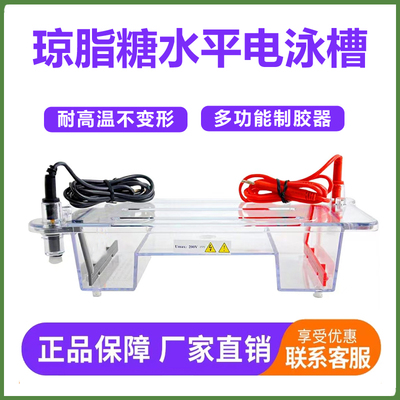 通用六一DYCP-31DN琼脂糖水平电泳槽 胶板 加样梳子 托盘电极