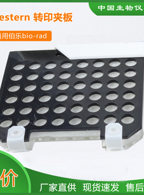 wb转膜夹 转印夹 三明治夹板 伯乐bio-rad夹板黑白孔夹板1703931