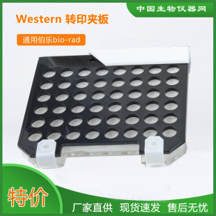 wb转膜夹 三明治夹板 伯乐bio rad夹板黑白孔夹板1703931 转印夹