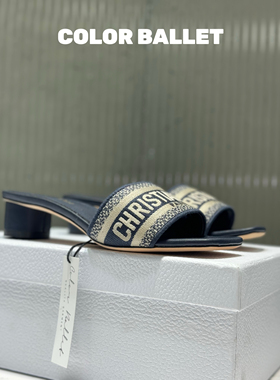 10年老店高端定制藏蓝色平底粗跟时尚凉拖color ballet拖鞋小圆跟