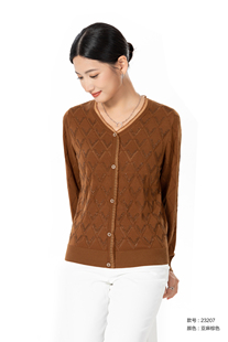 针织衫 洋气V领套头长袖 时尚 BL23207早春新款