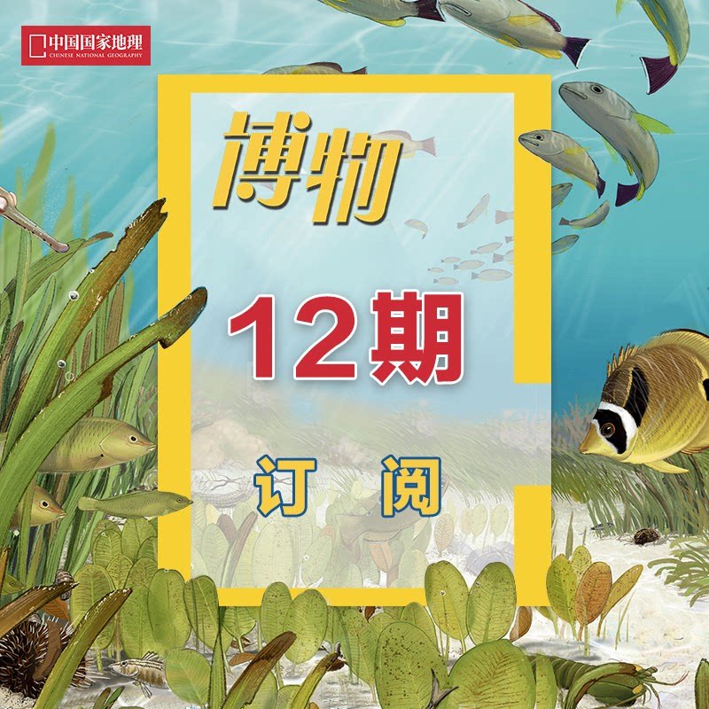 【博物1年订阅】2025年/2026年《博物》杂志  12期订阅   正版期刊 杂志社直营A1