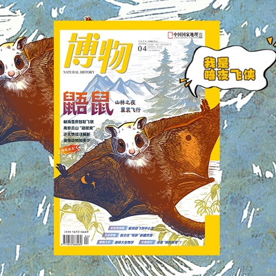 博物杂志2026年4月刊+拉页