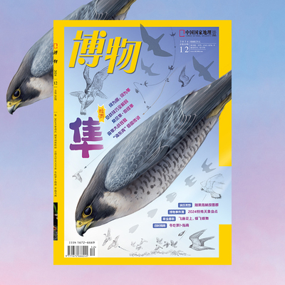 【202412】隼 博物2024年12月刊 2024天象盘点 刚果雨林科研 云南大学天文专业 冬吃萝卜指南 草地名画 中国国家地理旗舰店