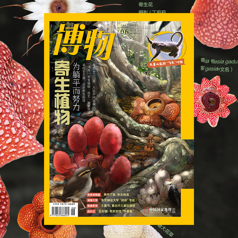 【202406】寄生植物 博物杂志2024年6月刊 无量山追踪印支灰叶猴 东北林业大学动保专业 宠物芦丁鸡 中国国家地理旗舰店