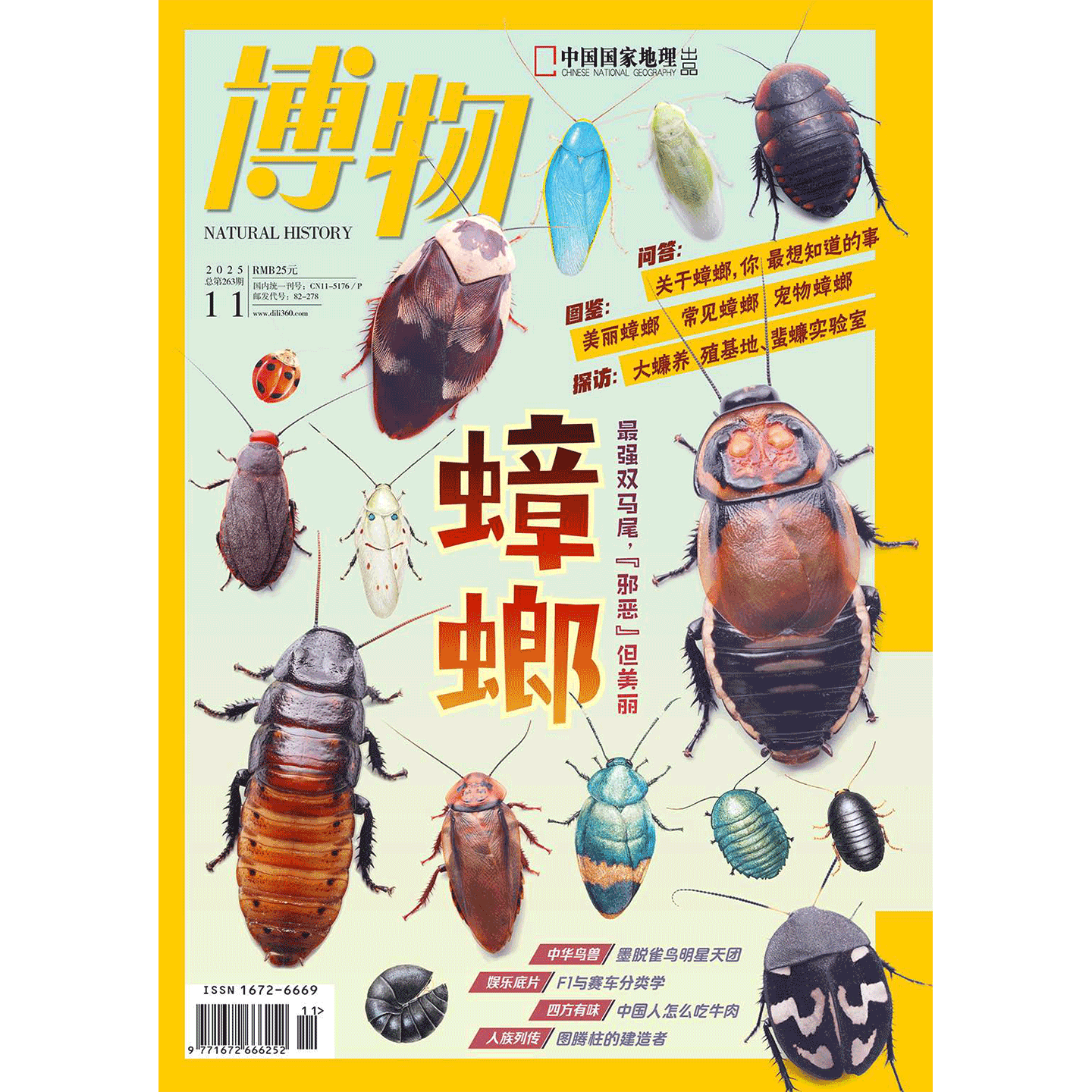 【蟑螂】 博物杂志2025年11期/月刊  常见蠊图鉴/自然月历·珠海篇/ 中国国家地理旗舰店