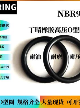 进口NOKO型圈NBR90高压密封圈G155 G160G165 G170 G175 G180 G185